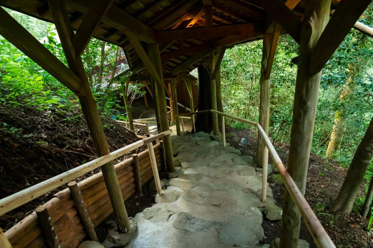 山中温泉 湯畑の宿 花つばき 加賀市 エクステリア 写真